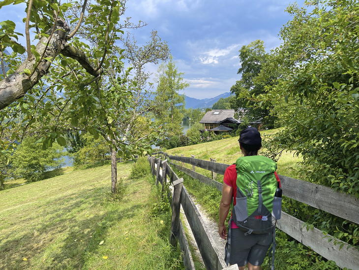 Wanderer auf einem Weg, umgeben von Bäumen, mit Blick auf eine alpine Landschaft.