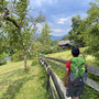 Wanderer auf einem Weg, umgeben von Bäumen, mit Blick auf eine alpine Landschaft.