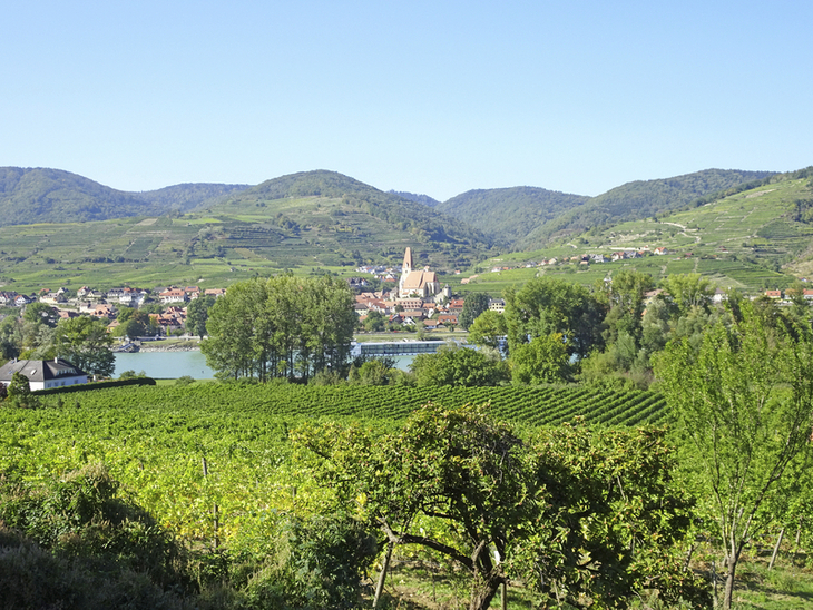 Blick auf Weissenkirchen mit Kirche und Weinbergen in der Wachau, Österreich.