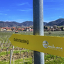 Wegweiser zum Welterbesteig Wachau vor Weinbergen und Dorf in der Ferne.