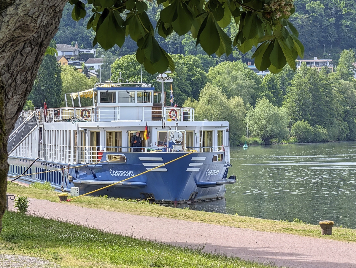 Blau-weißes Passagierschiff MS Casanova am Flussufer, umgeben von grüner Landschaft.